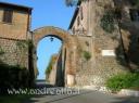 conca-borgo-montello-photo-by-sergio-andreatta.jpg